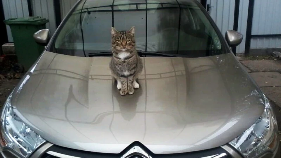 Citroen C4 2