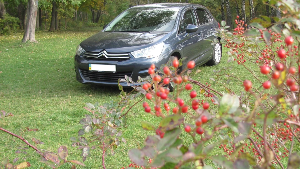 Citroen C4 2