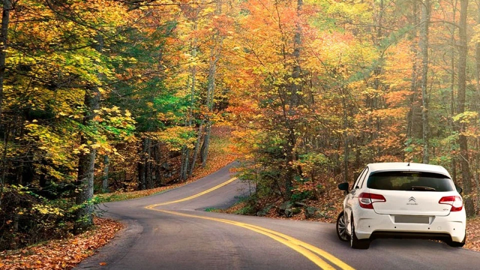 Citroen C4 - просто красень