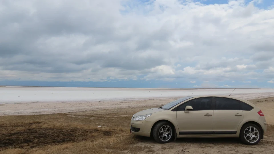Citroen C4 Жабка 2