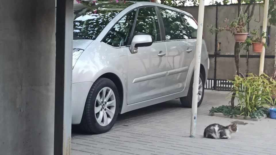 Citroen Grand C4 Picasso Ялинка 2