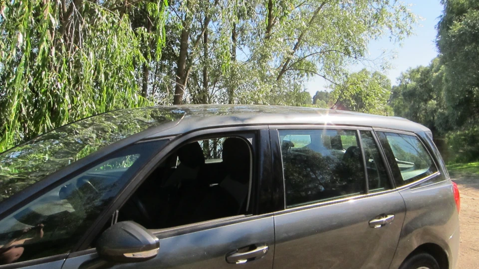 Citroen Grand C4 Picasso Сірий дизель