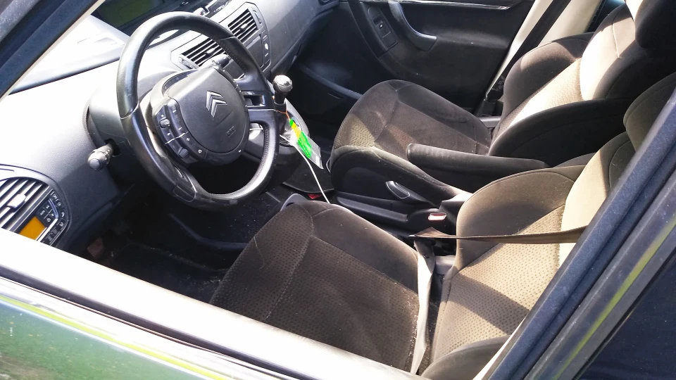 Citroen Grand C4 Picasso Жуйка 3