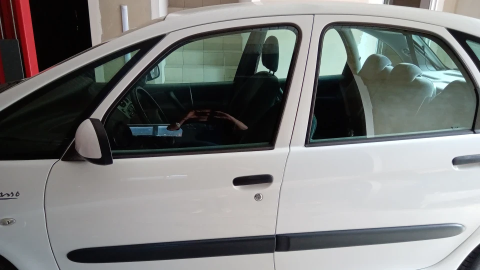 Citroen Xsara Picasso Picachu