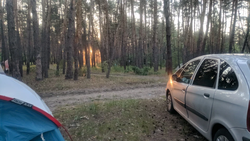 Citroen Xsara Picasso Сарочка 4