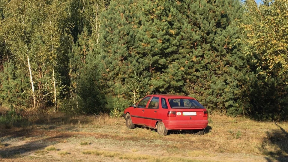 Citroen ZX