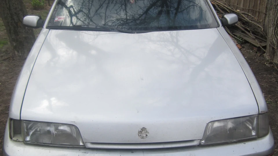 Citroen ZX 1.9 volcane 5
