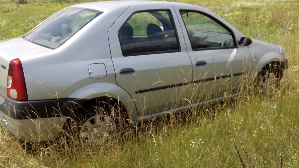 Dacia Logan Двійник (краще Близнюк) 2