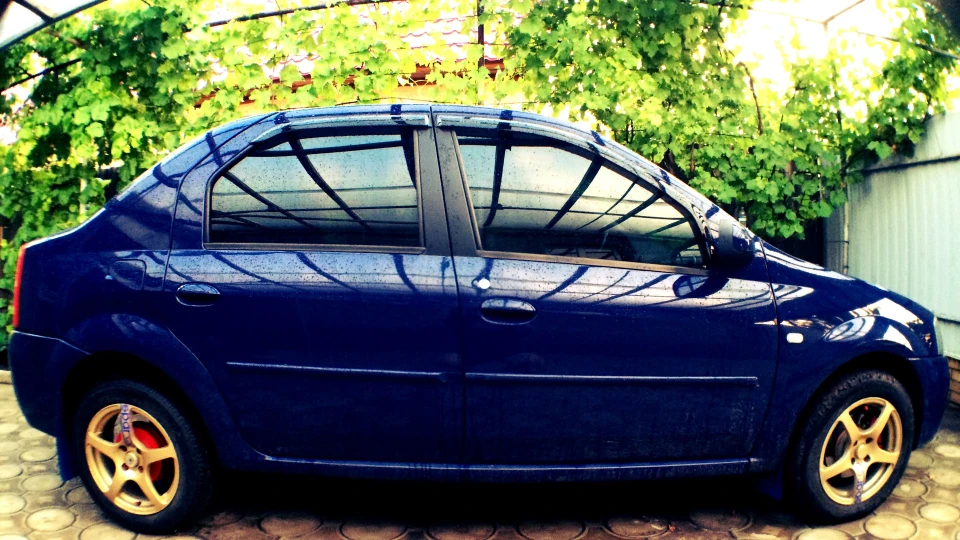 Dacia Logan Pitbull 4