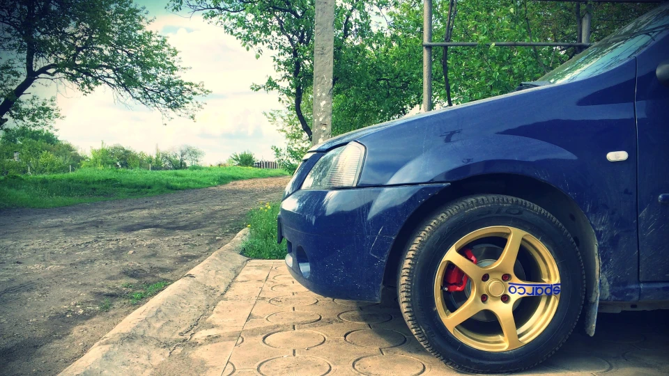 Dacia Logan Pitbull 5