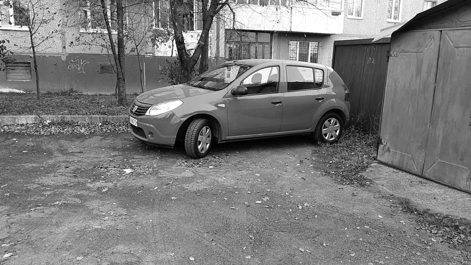 Dacia Sandero Сандерій 4