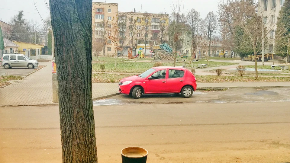 Dacia Sandero Сандерій 5
