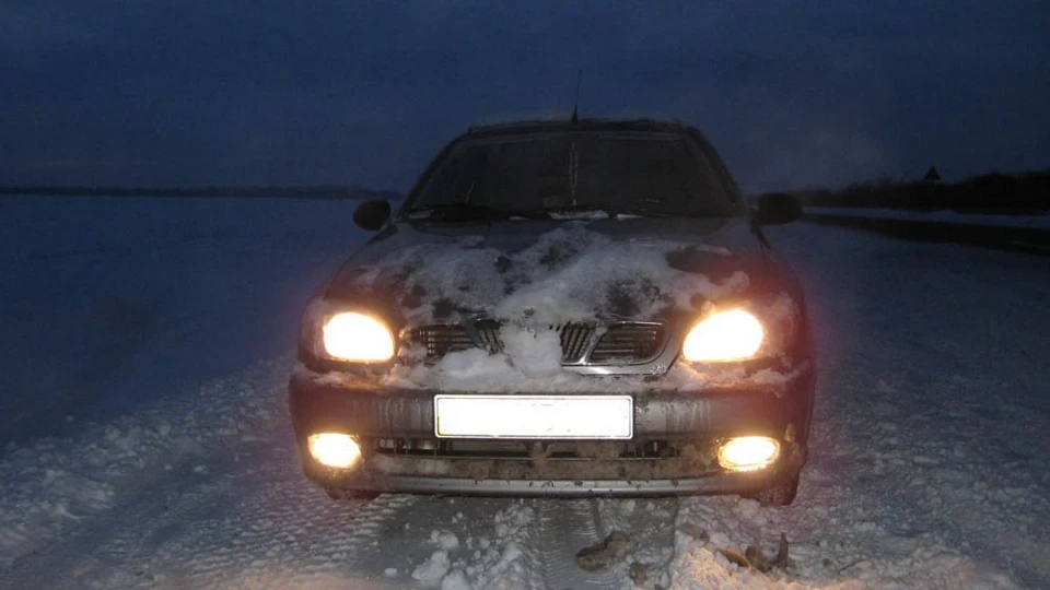 Daewoo Lanos Черевик 4