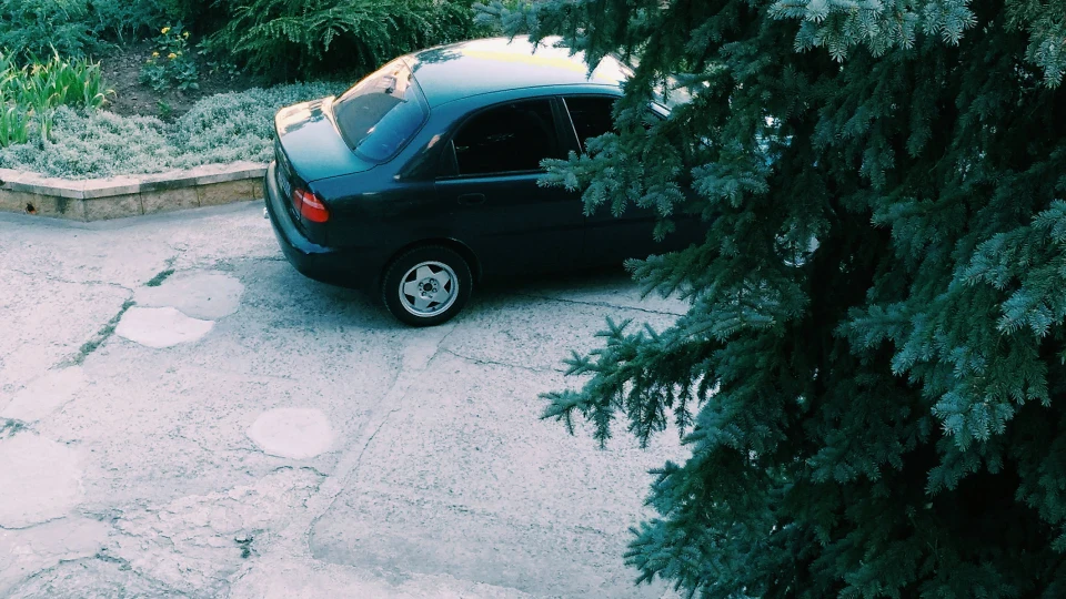 Daewoo Lanos ceRBerus 5