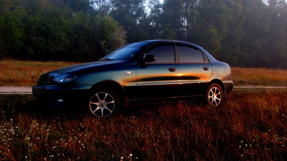 Daewoo Lanos Чисто зелений 5