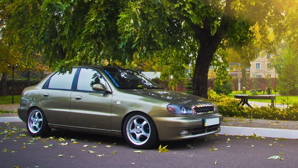 Daewoo Lanos Оливчик 4