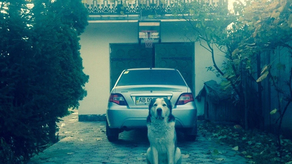 Daewoo Nexia 4