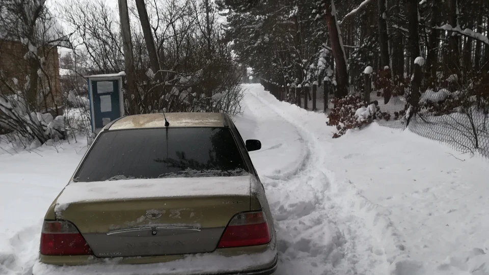 Daewoo Nexia , моя Ксюша 2