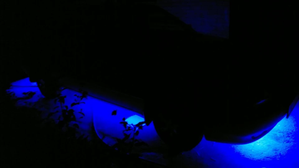Daewoo Nexia Neon Mod 5