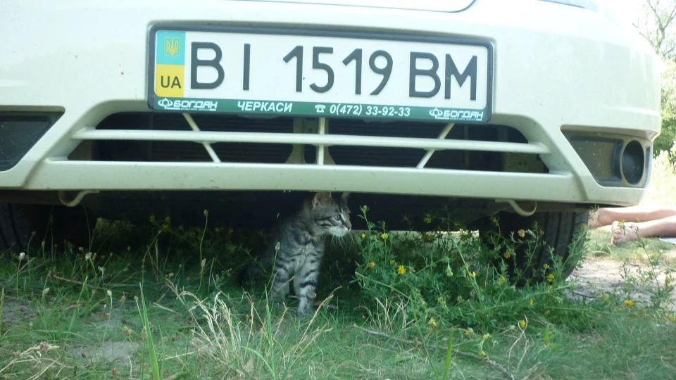 Daewoo Nexia топлене молоко