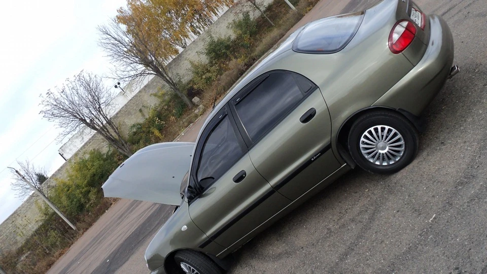 Daewoo Sens Оливковий Живчик