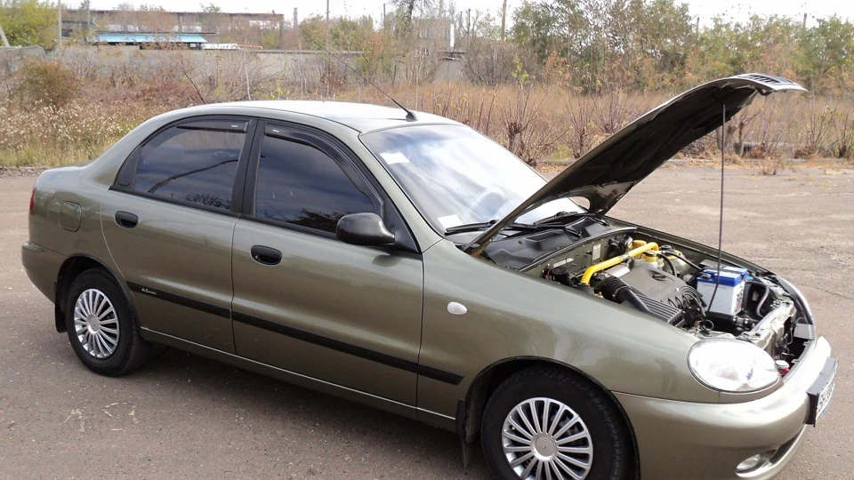 Daewoo Sens Оливковий Живчик 3
