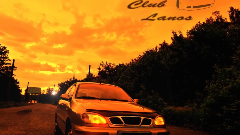 Daewoo Sens Бджілка 3
