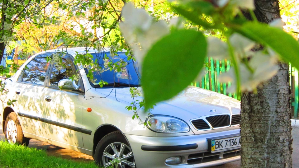 Daewoo Sens Сіра мишка