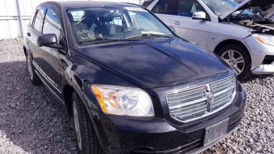 Dodge Caliber Ammon
