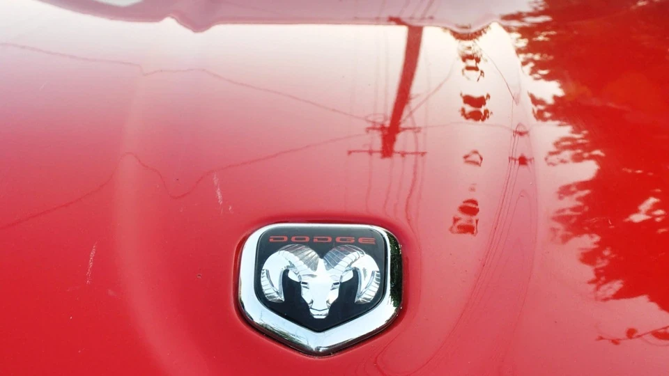 Dodge Dakota Стильний роботяга 4