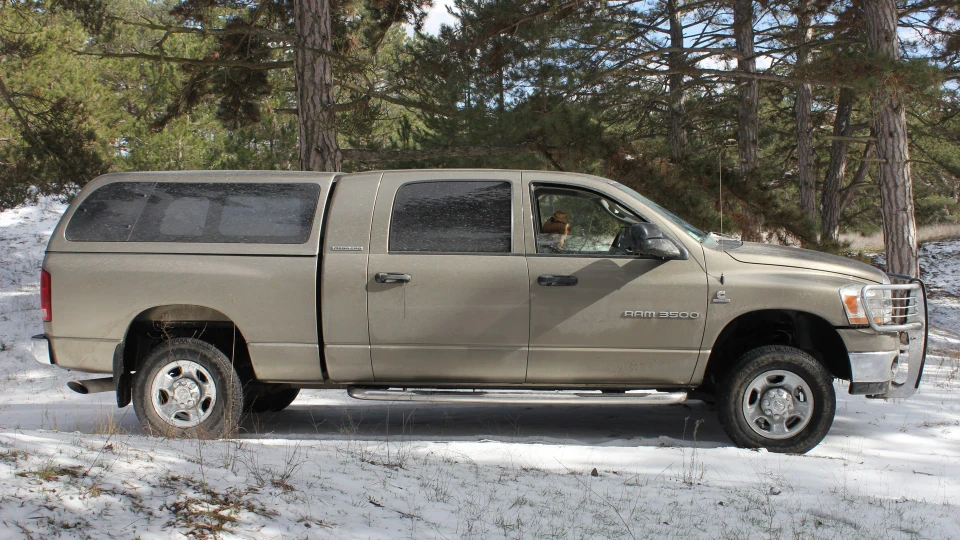 Dodge Ram Aligator 3