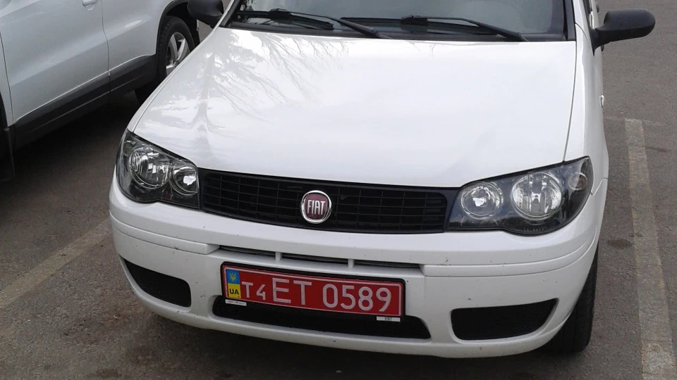 FIAT Albea Білий Ослик 3