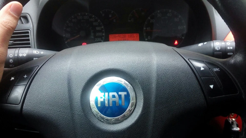 FIAT Grande Punto Гарбуз
