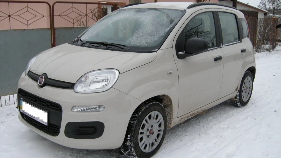 FIAT Panda Бежеве ведмежа 2