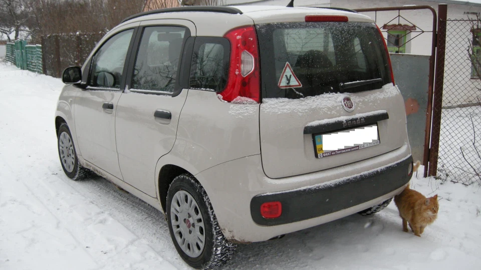 FIAT Panda Бежеве ведмежа 4