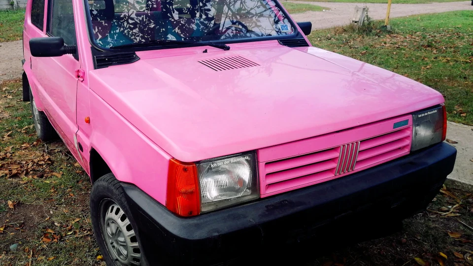 FIAT Panda Рожеве непорозуміння 2