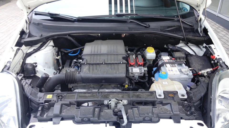 FIAT Punto Evo ЖУЖА 5