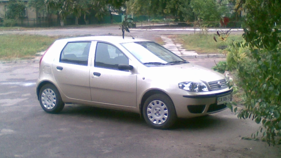 FIAT Punto Бежевий металік 3