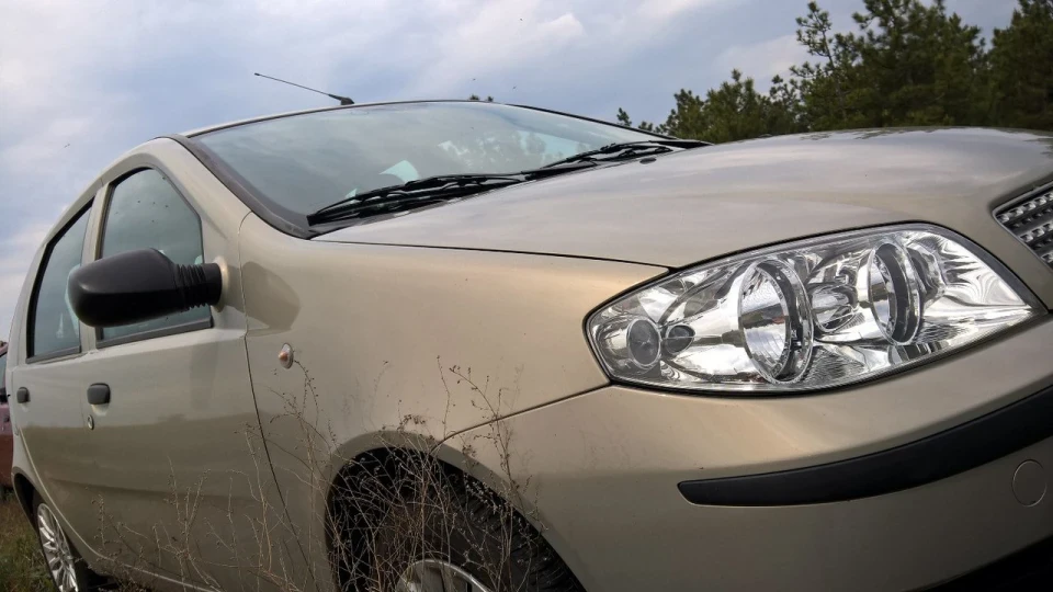 FIAT Punto Зухвале звірятко 3