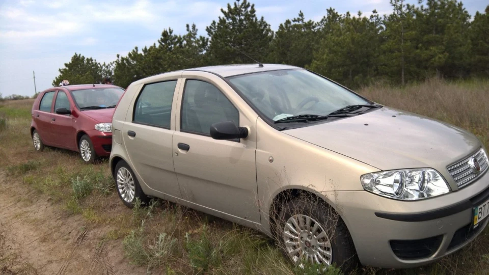 FIAT Punto Зухвале звірятко 4