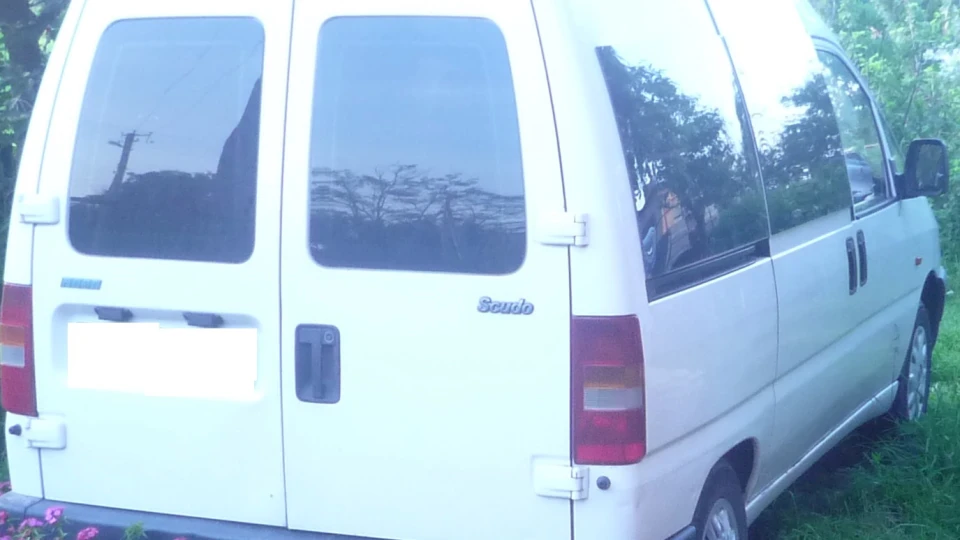 FIAT Scudo the engine DW8