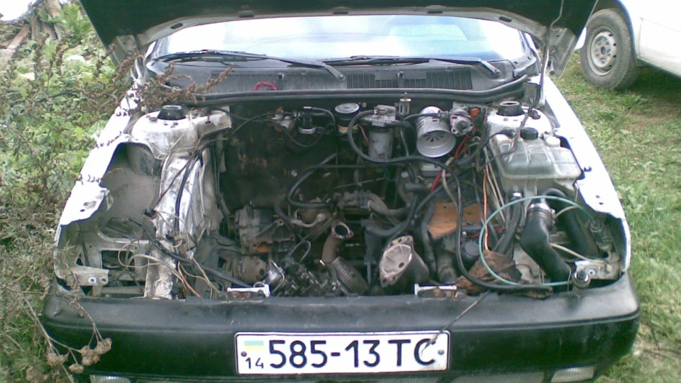 FIAT Tipo 2