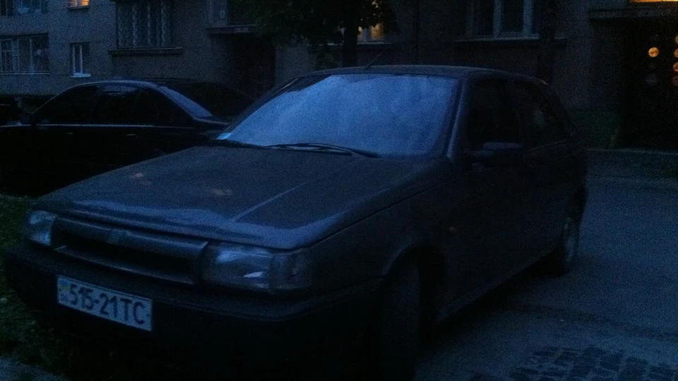 FIAT Tipo гратик) 3