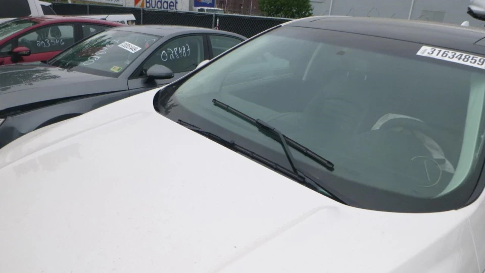 Ford Edge Біла платина