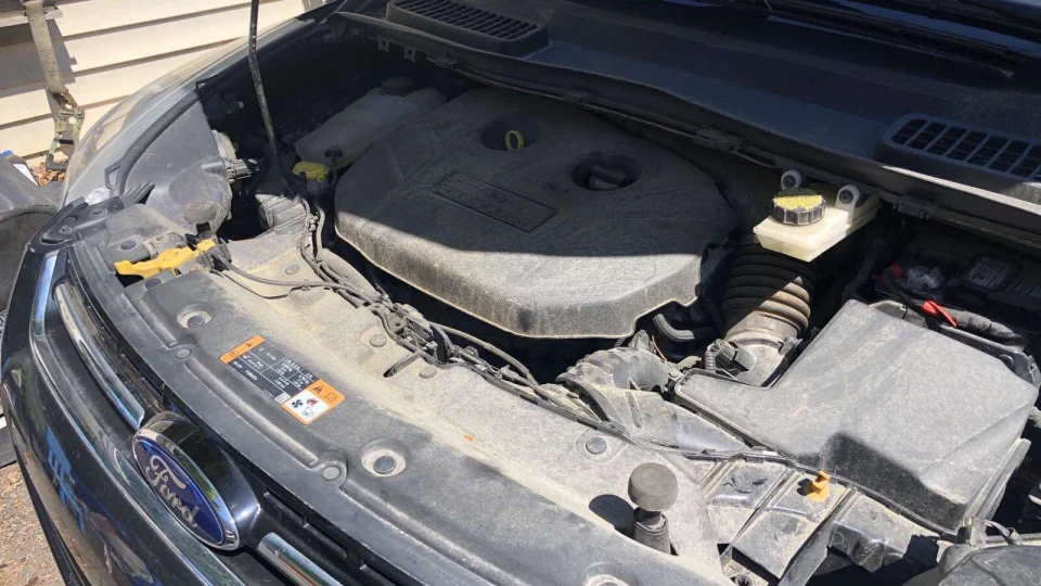 Ford Escape Дермо на коліщатках 5