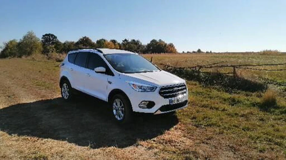 Ford Escape SEL 2