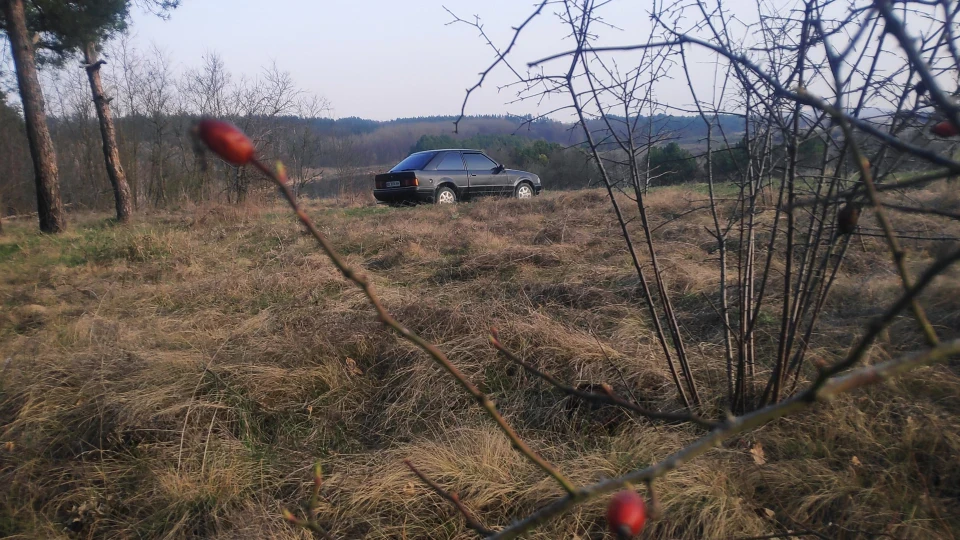 Ford Escort