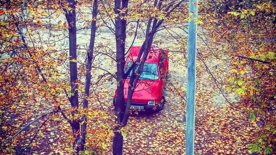 Ford Escort Червонотка 4