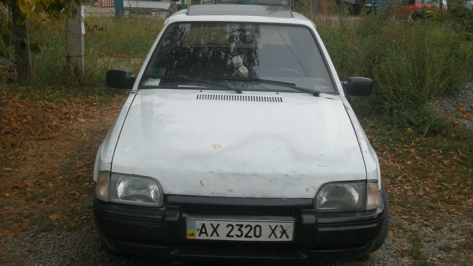 Ford Escort Малюк ) 3