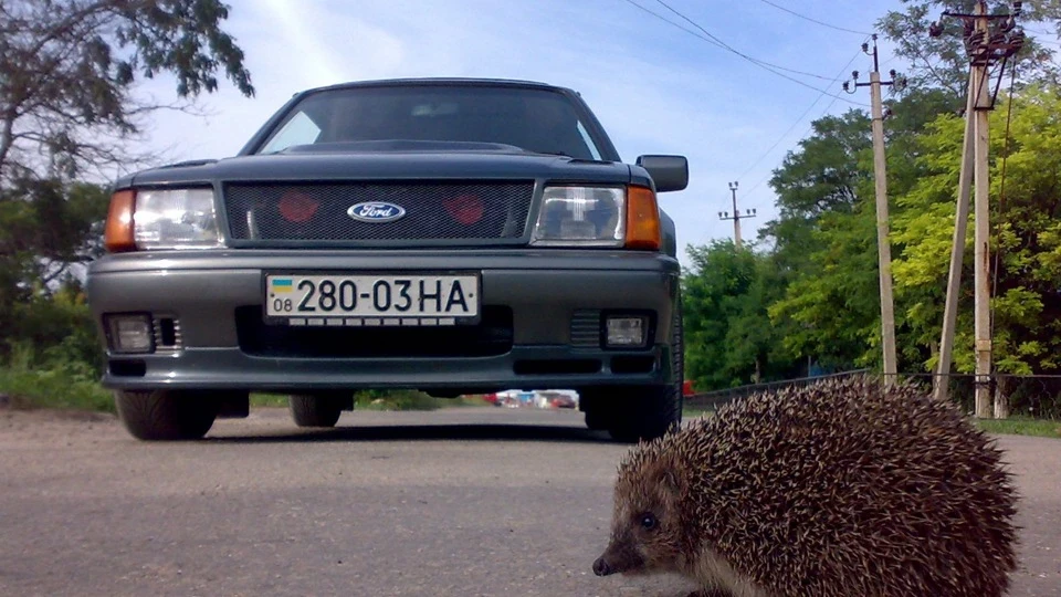 Ford Escort MK III (1985) MAD PONY 2
